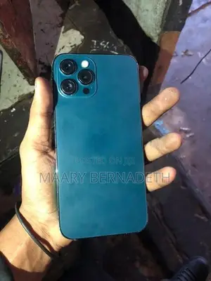Apple iPhone 12 Pro Max (Used)