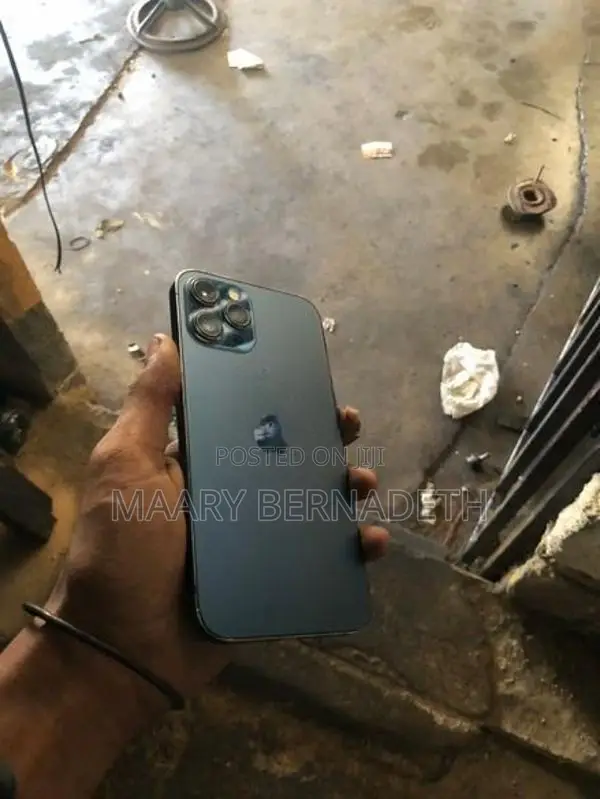 Apple iPhone 12 Pro Max (Used)