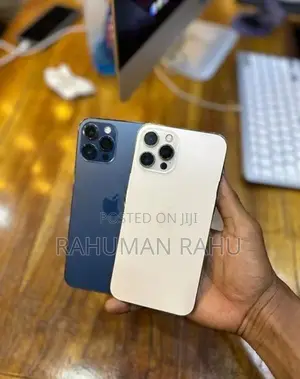 Apple iPhone 12 Pro Max (Used)
