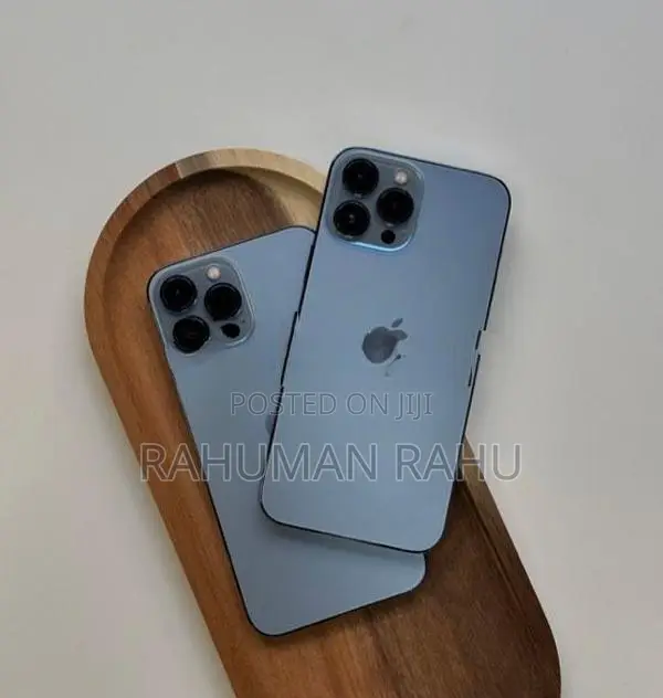 Apple iPhone 13 Pro Max (Used)