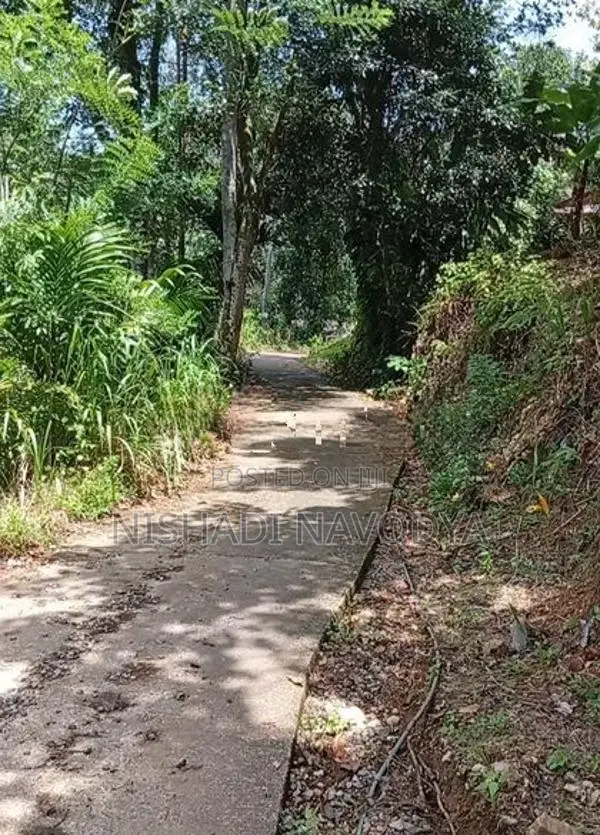 Land For Sale In Kiriwandala Pelmadulla
