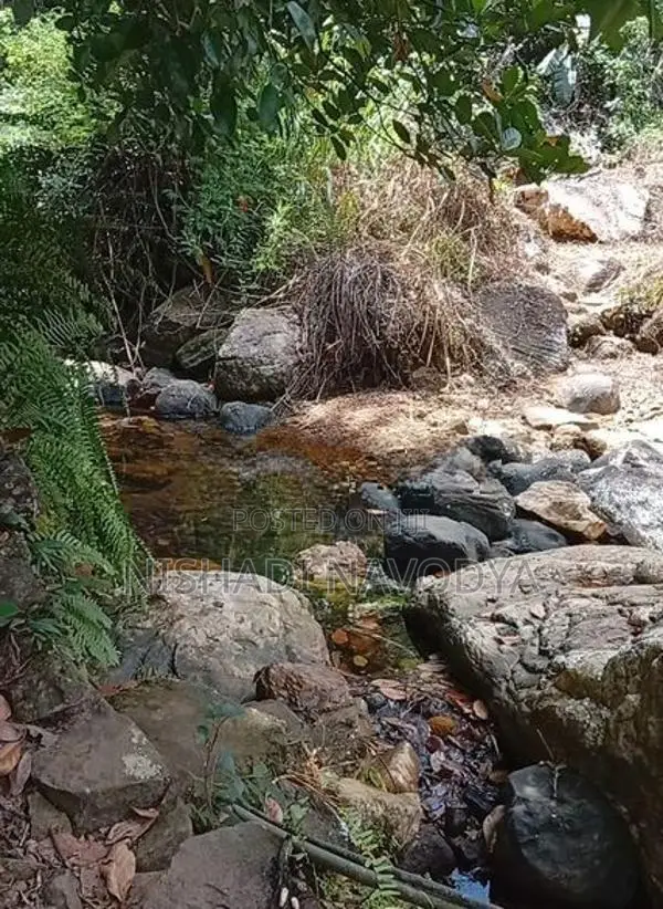Land For Sale In Kiriwandala Pelmadulla