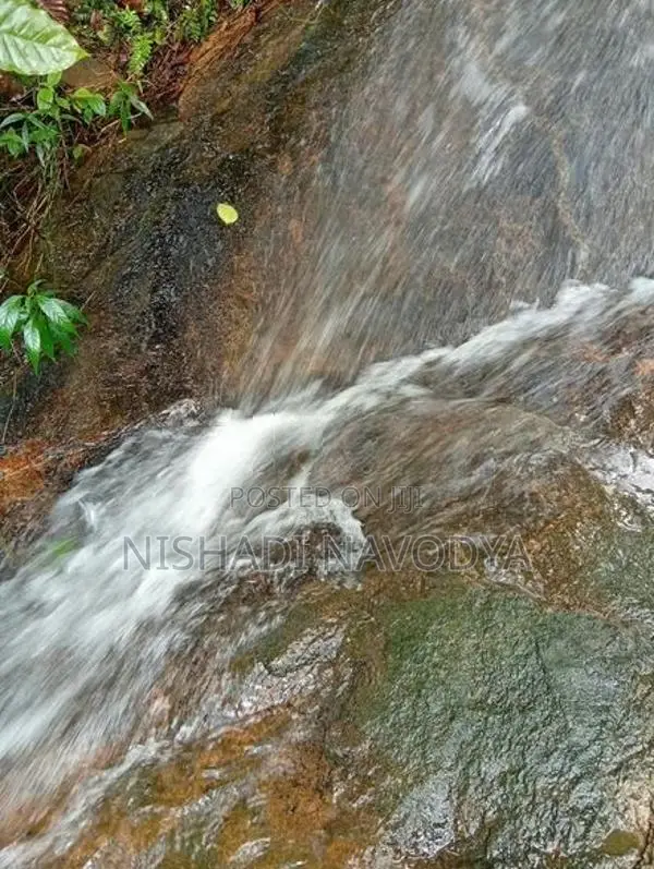 Land For Sale In Kiriwandala Pelmadulla