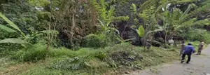 39 Perch Main Road Land In Jambugahapitiya Akurana