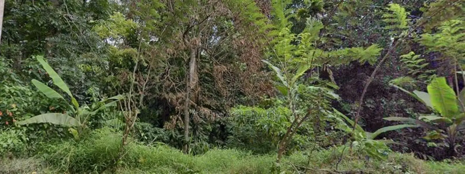 39 Perch Main Road Land In Jambugahapitiya Akurana