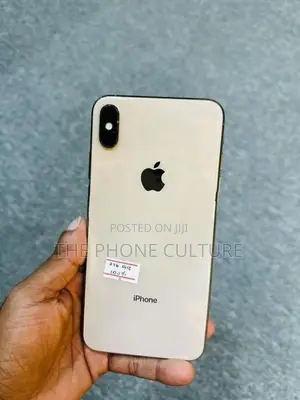 Apple iPhone XS Max 256GB (Used)