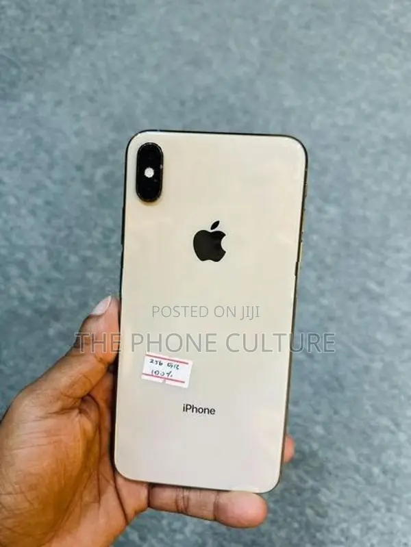 Apple iPhone XS Max 256GB (Used)