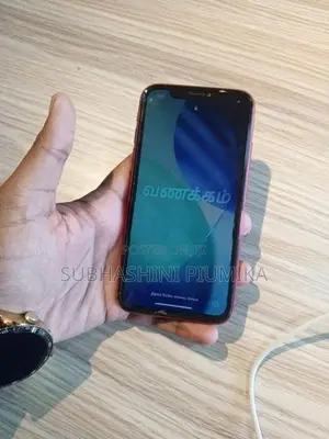 Apple iPhone 11 (Used)