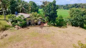 Land for Sale Pallewela