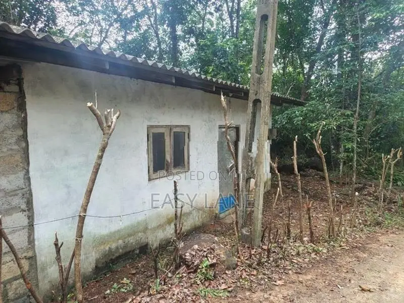නිට්ටඹුව – අත්තනගල්ල, කරස්නාගල ප්‍රදේශයෙන් නිවස + ඉඩම 15.80 යි