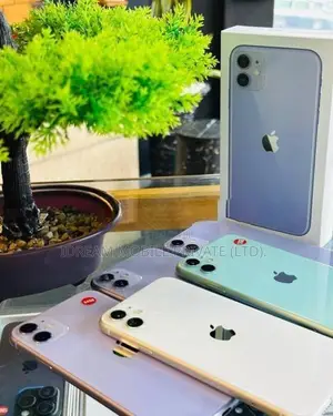 Apple iPhone 11 256GB (Used)