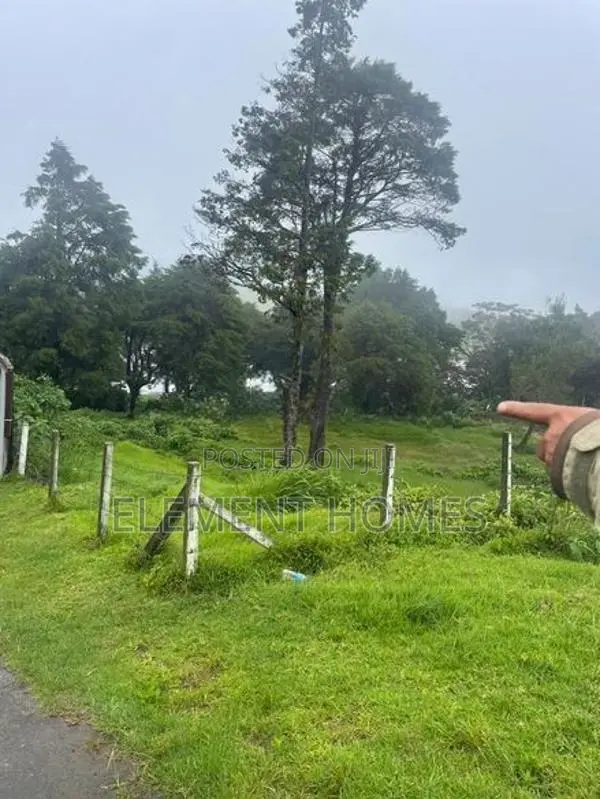 EXCLUSIVE LAND FOR SALE – GREGORY LAKE VIEW, NUWARA ELIYA
