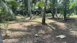 Land For Sale In Kadawatha