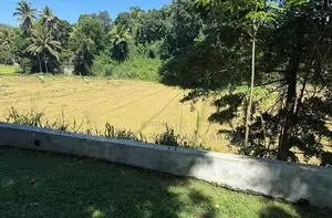 Land For Sale in නුවර පාතදුම්බර