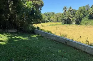 Land For Sale in නුවර පාතදුම්බර