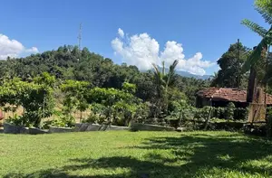 Land For Sale in නුවර පාතදුම්බර