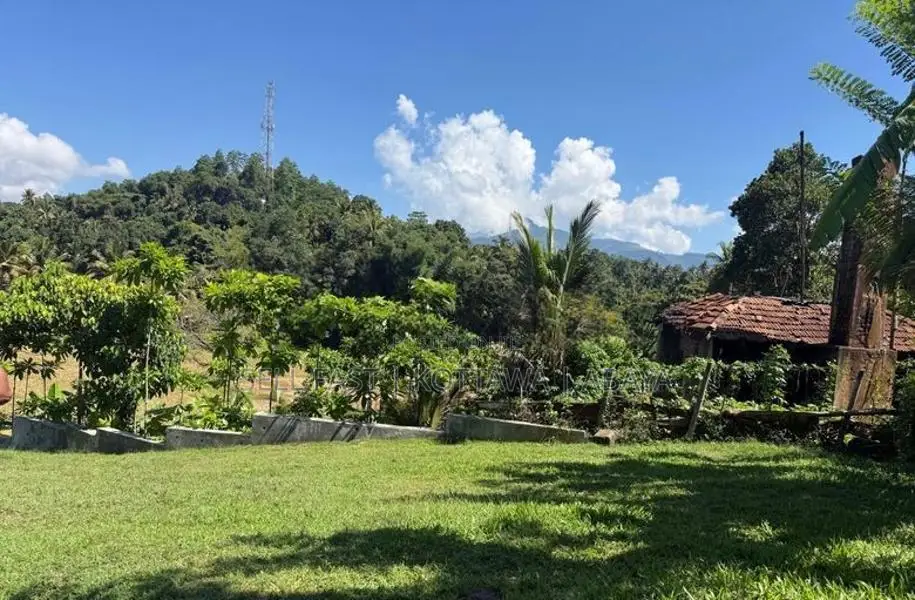 Land For Sale in නුවර පාතදුම්බර