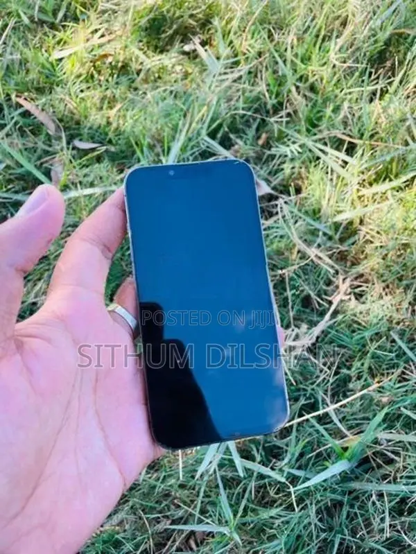 Apple iPhone 13 Pro (Used)