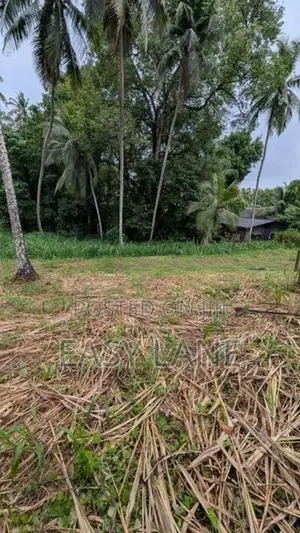 කඩවත – මාවරමන්ඩිය ඉඩමක් විකිණීමට. CA In Kadawatha