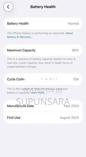 Apple iPhone 15 Pro (Used)