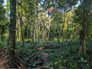 Land for Sale in Aladeniya