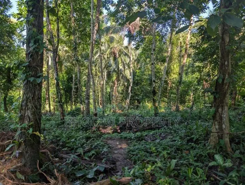 Land for Sale in Aladeniya