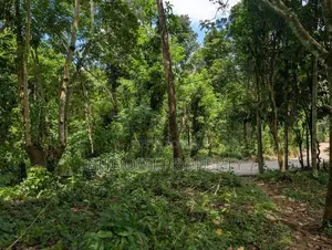 Land for Sale in Aladeniya