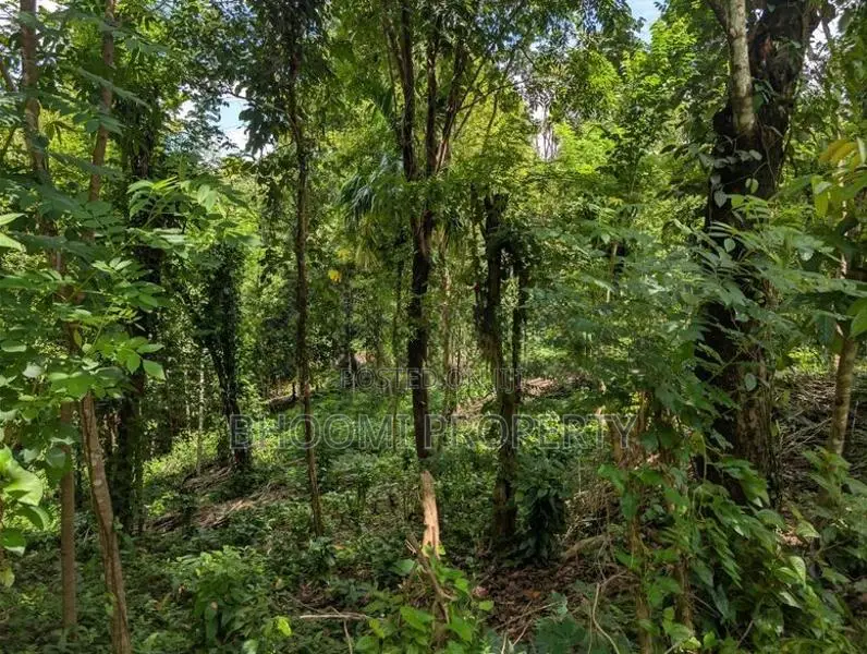 Land for Sale in Aladeniya