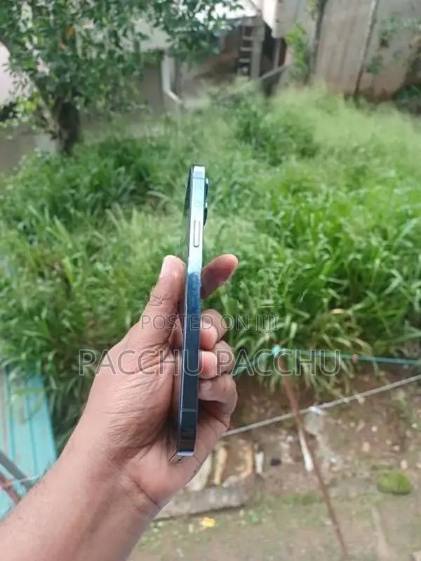 Apple iPhone 12 Pro Max Blue (Used)