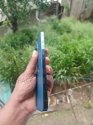 Apple iPhone 12 Pro Max Blue (Used)