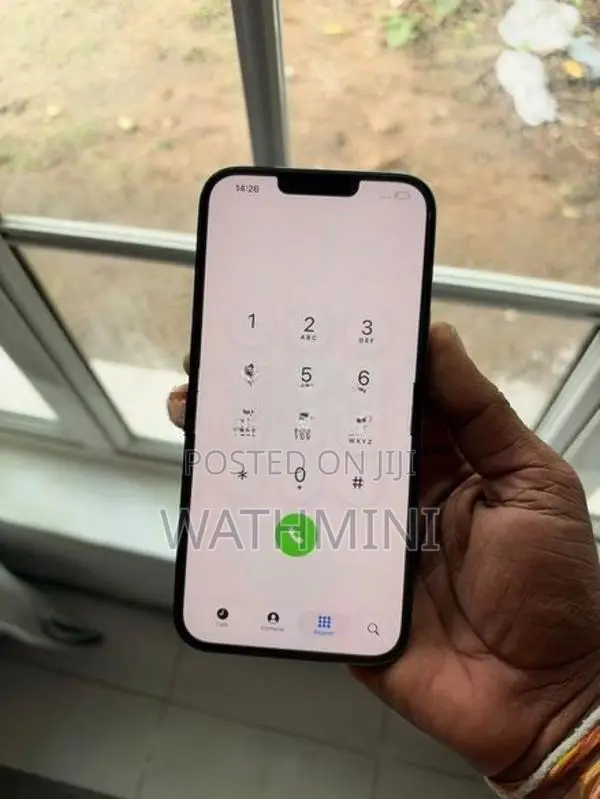 Apple iPhone 13 Pro Max (Used)