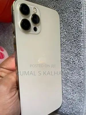 Apple iPhone 12 Pro Max (Used)