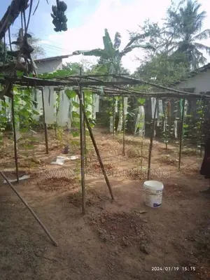 Land For Sale In Yakkala Gampaha