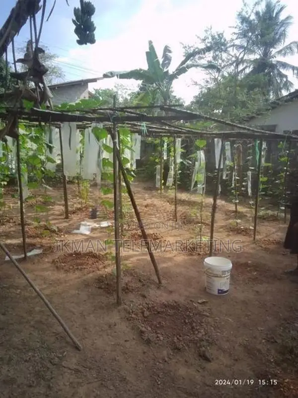 Land For Sale In Yakkala Gampaha
