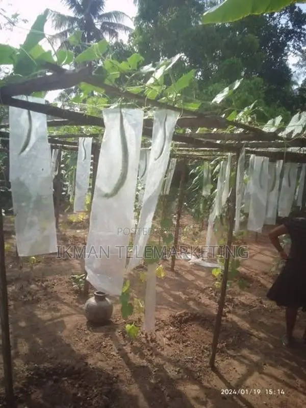Land For Sale In Yakkala Gampaha