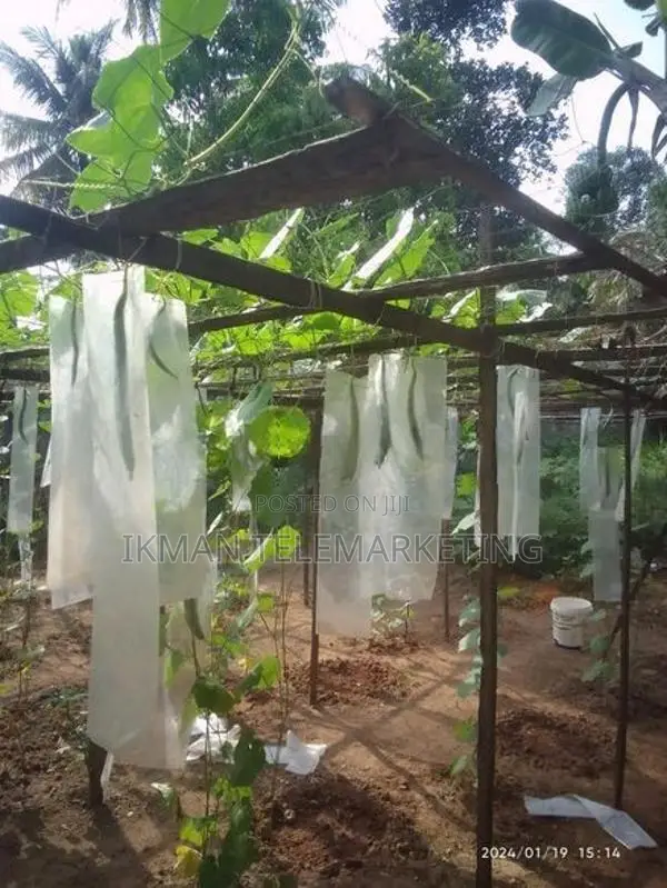 Land For Sale In Yakkala Gampaha