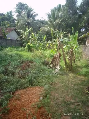 Land For Sale In Yakkala Gampaha