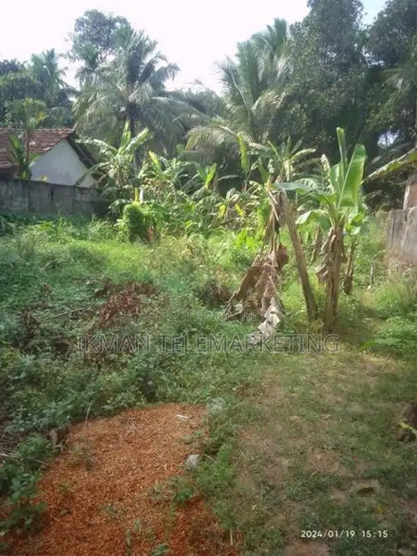 Land For Sale In Yakkala Gampaha