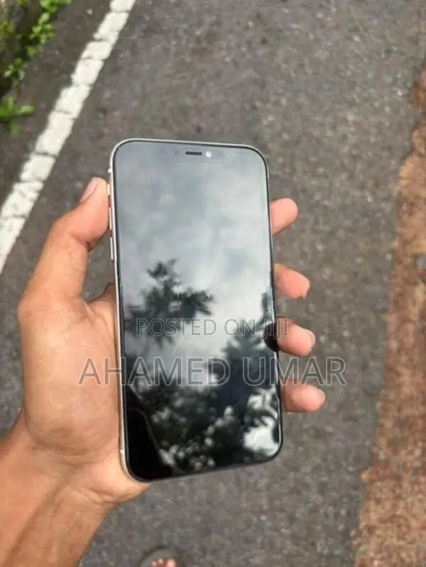 Apple iPhone 11 (Used)