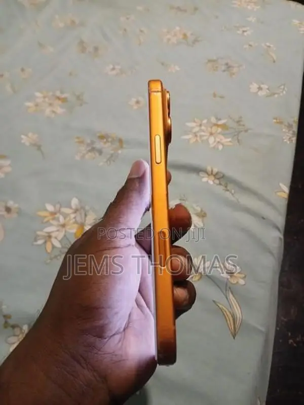 Apple iPhone 17 Pro Max (Used)
