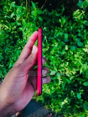 Apple iPhone 11 (Used)