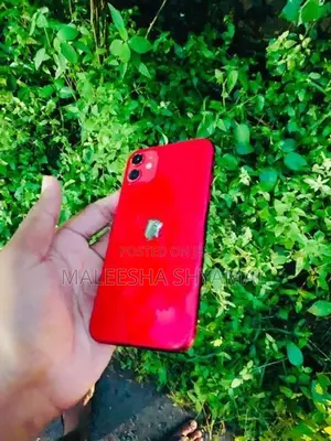 Apple iPhone 11 (Used)