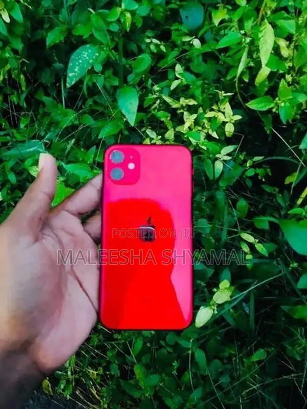 Apple iPhone 11 (Used)
