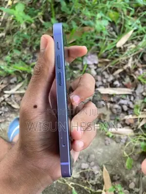 Apple iPhone 12 mini (Used)