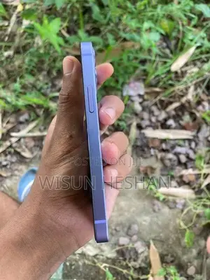 Apple iPhone 12 mini (Used)