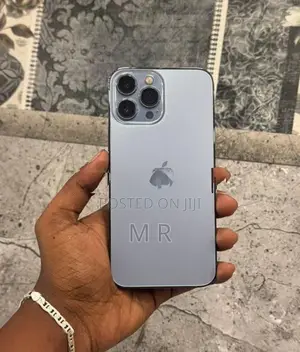Apple iPhone 13 Pro Max 256GB (Used)
