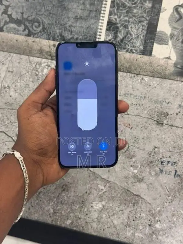 Apple iPhone 13 Pro Max 256GB (Used)