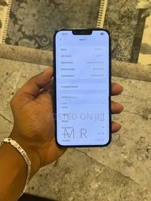 Apple iPhone 13 Pro Max 256GB (Used)