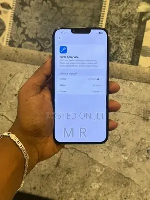 Apple iPhone 13 Pro Max 256GB (Used)