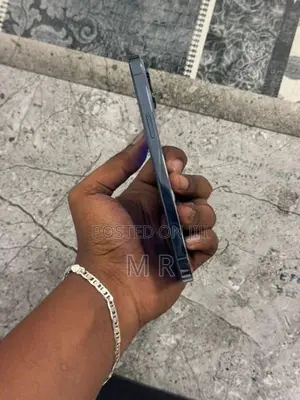 Apple iPhone 13 Pro Max 256GB (Used)